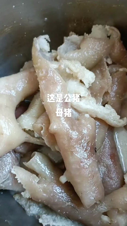 猪咪是什么意思缩略图