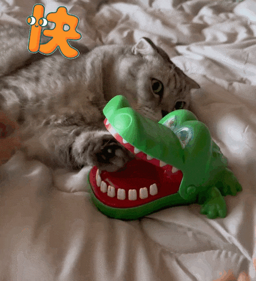 猫叫声 吓老鼠播放缩略图