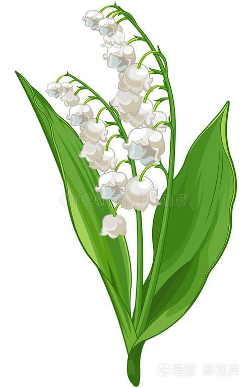 铃兰花oc素材缩略图