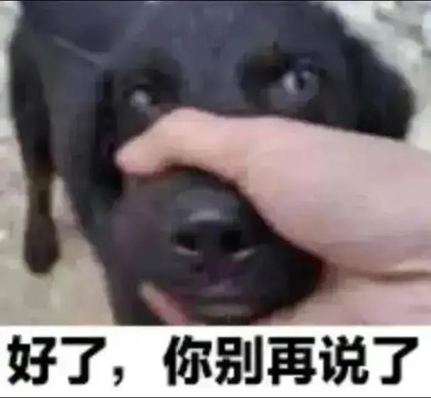 女生说你好烦暗示什么