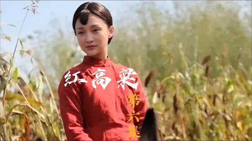 红高粱第6集完整版缩略图