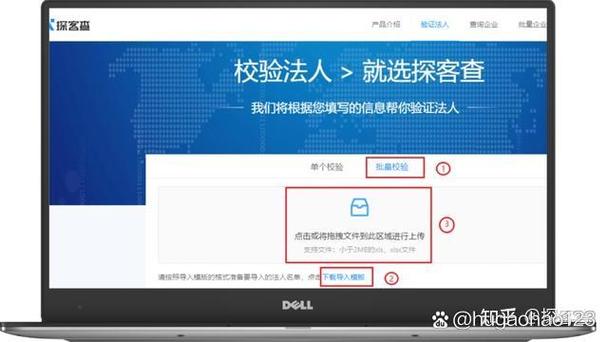 企业法人查询缩略图