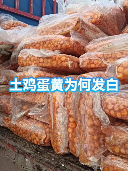 土鸡蛋蛋黄偏白的原因缩略图