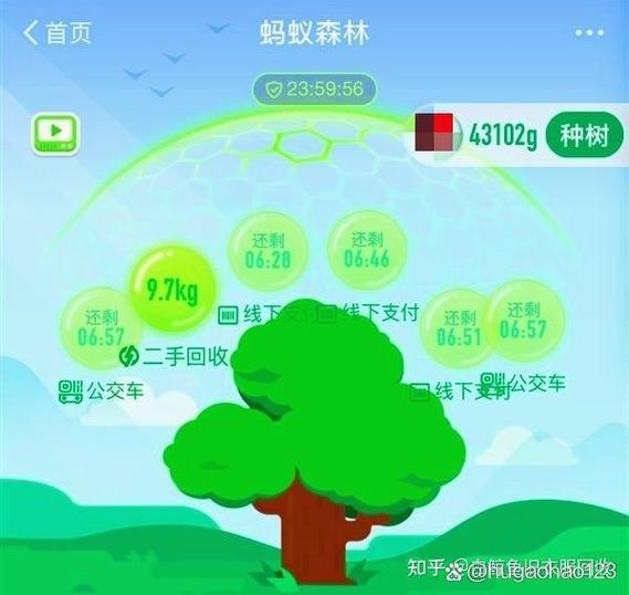 支付宝绿能量缩略图