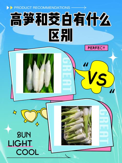 黑鲨38+128和12+128有什么区别图标