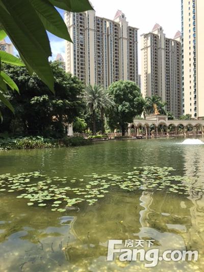 北海365信息怎么发布缩略图