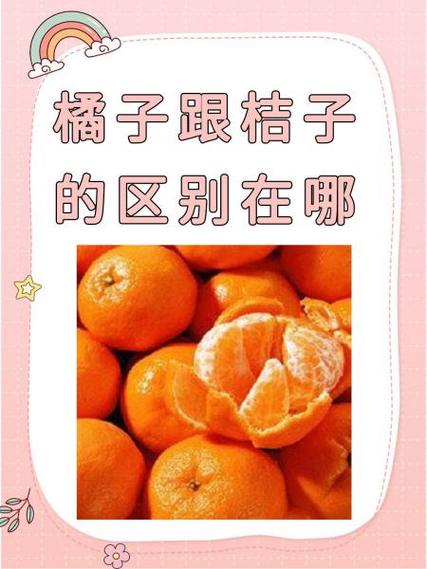 橘子和桔子图片区别图标