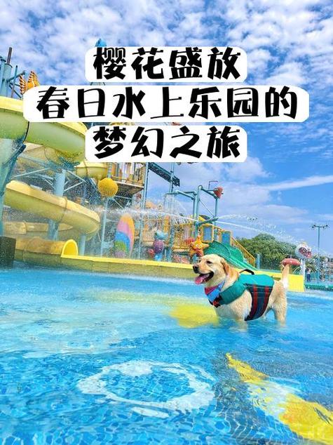 樱花校园模拟器水上乐园在哪儿图标