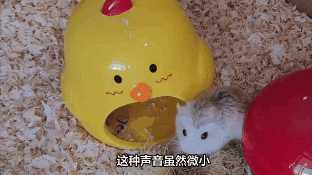 召唤仓鼠的叫声图标