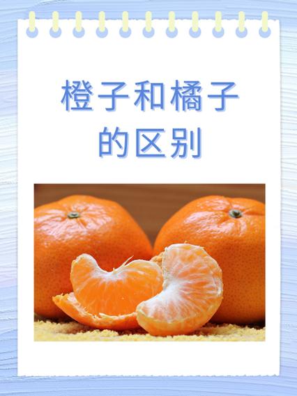 橘子3有必要升级橘子4吗缩略图