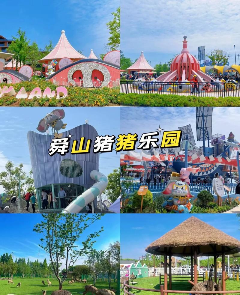 养猪游戏有哪些