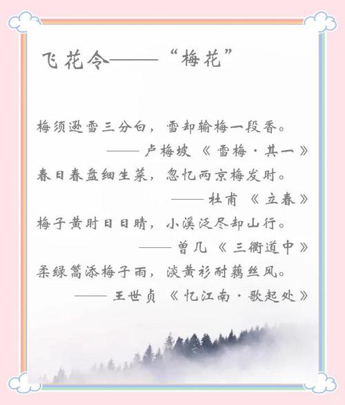 诗词大会第四季总决赛飞花令