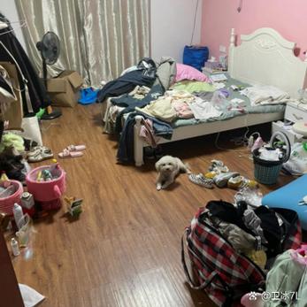 女孩子一个人租房住是不是很危险游戏截图