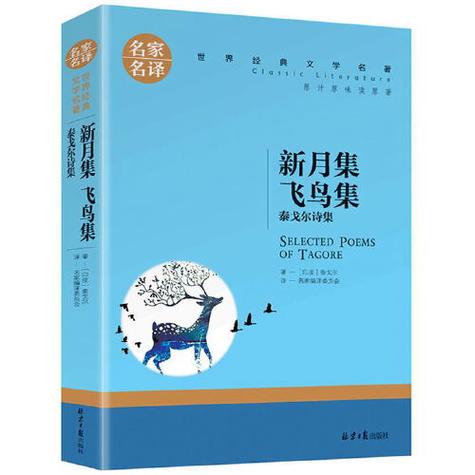 适合小学生阅读的书籍推荐缩略图