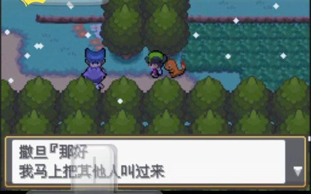 口袋妖怪DS启示录图标