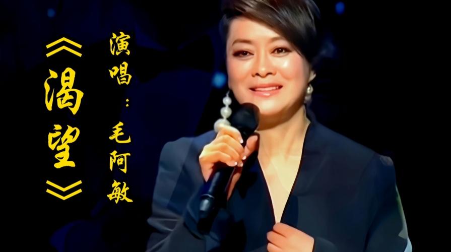 毛阿敏《渴望》原唱缩略图