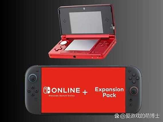 ns进入开发者模式图标