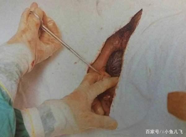 什么样的女人生孩子好看图标
