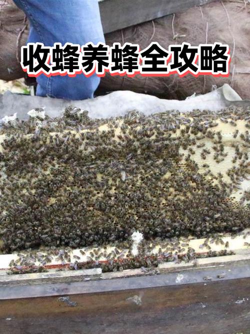使命召唤16脚步声图标