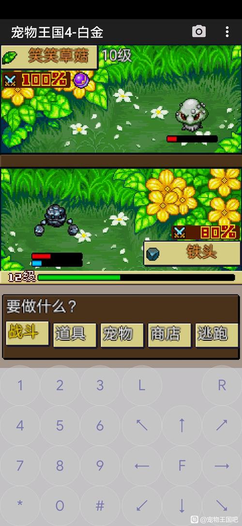 宠物王国