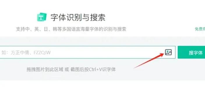 看图识字体在线识别免费图标
