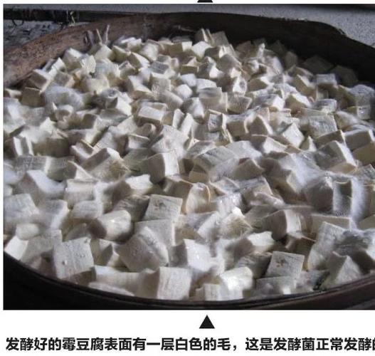 腐乳的制作方法步骤图标