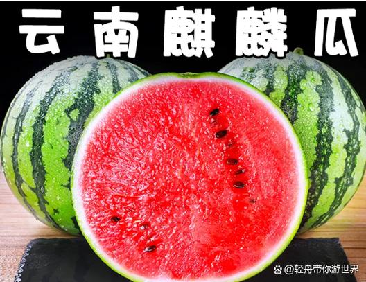 西瓜视频极速版赚钱下载安装缩略图