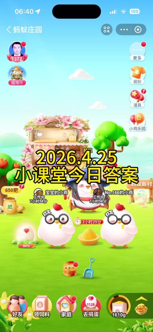 2026年小鸡今日答案