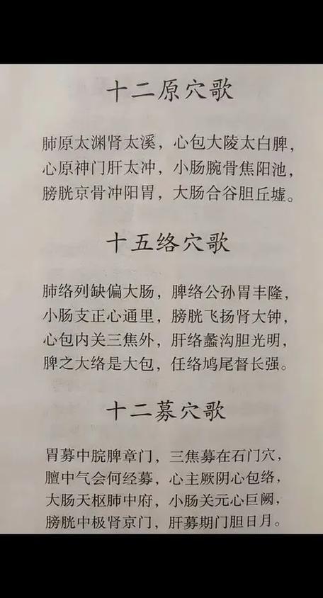 中医针灸歌诀完整版游戏截图