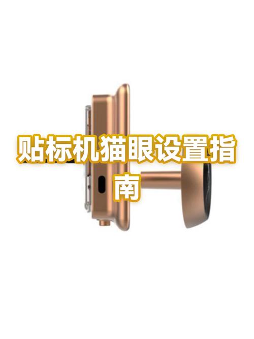 猫眼拆卸示意图游戏截图