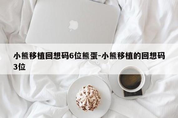 小熊的6位回想码全部图标