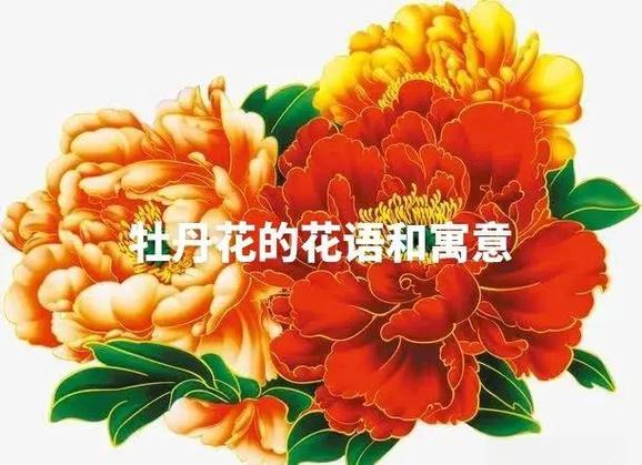 牡丹花的吉祥话图标