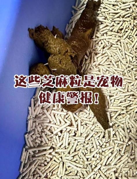芝麻粒怎么攒不了了缩略图