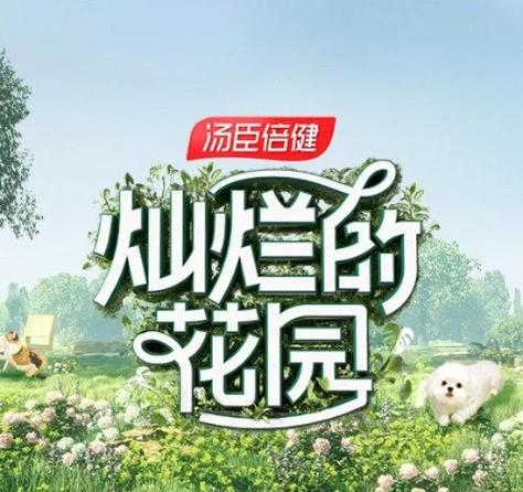 综艺节目推荐游戏截图