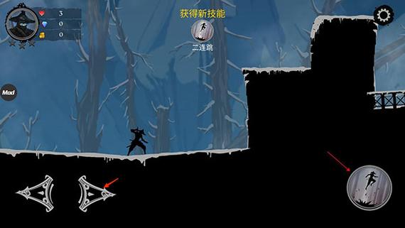 NinjaArashi21.2