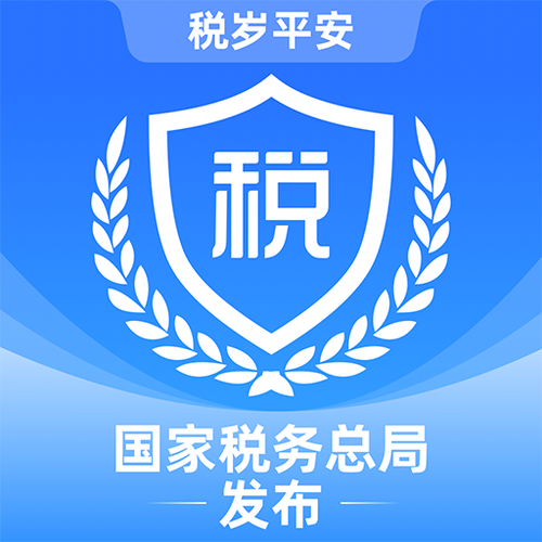 个人电子税务局app下载游戏截图