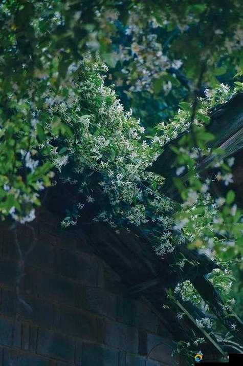浇灌小白花图标