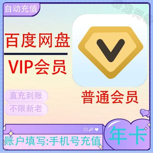 百度网盘 会员图标