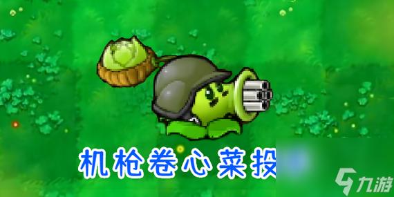 5阶卷心菜投手威力