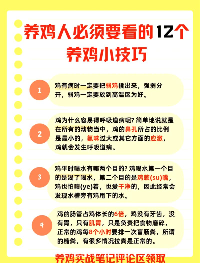 我的世界如何养鸡不让鸡飞走