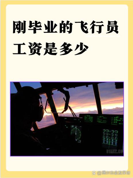 三大航空公司待遇比较游戏截图