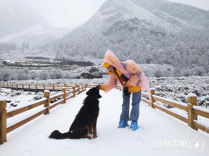 雪地寻踪人物形象图标