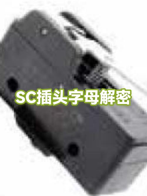 SC是什么意思