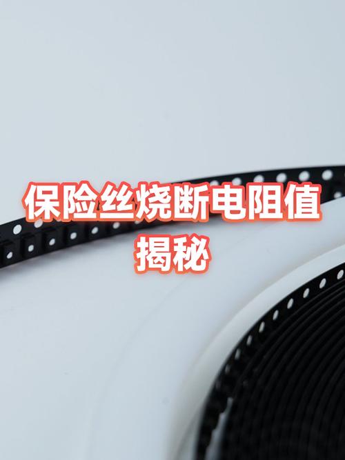 电饭锅保险丝烧了用什么可以代替游戏截图