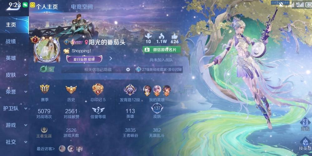 王者荣耀透明主页缩略图