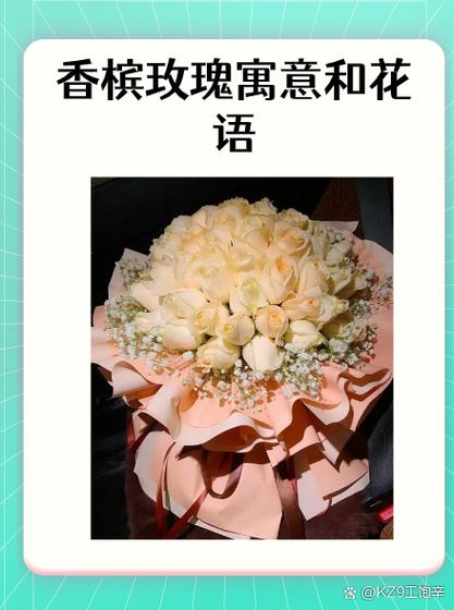 玫瑰的寓意和象征缩略图