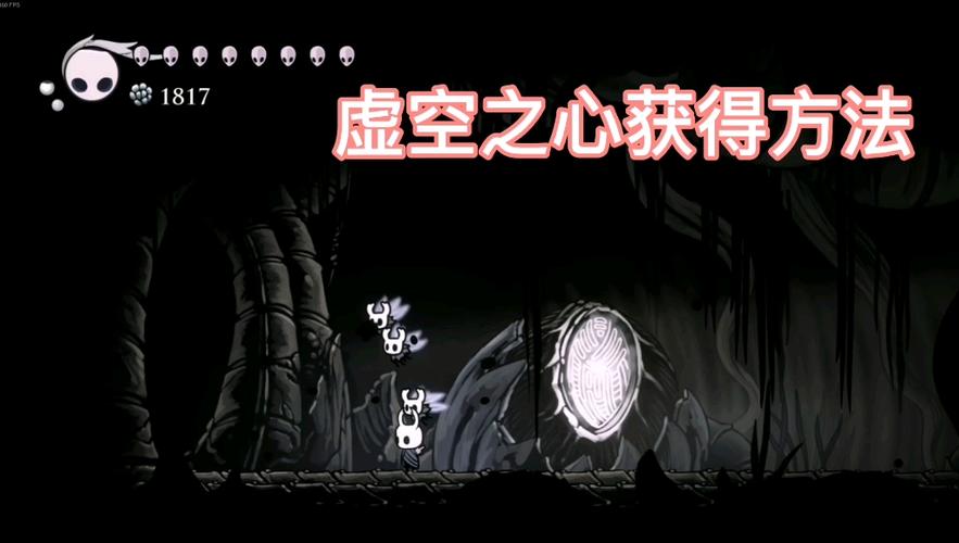 空洞骑士虚空之心怎么拿图标