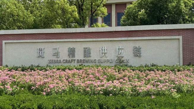 斯柯达斑马车机提供的互联网功能