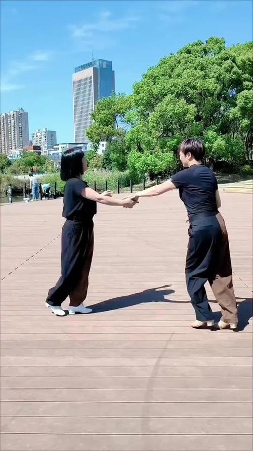 双人恰恰广场舞缩略图