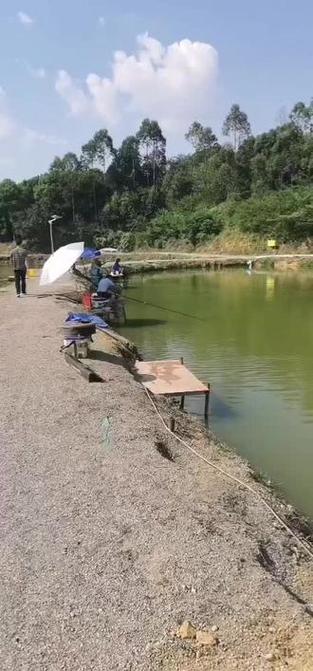 快乐垂钓直播免费观看直播间图标